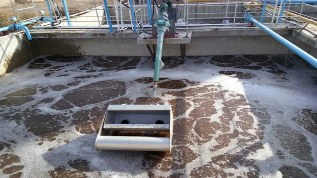 1533886040112502.jpg 22.jpg