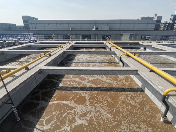 1590463433626800.jpg 2020042601.jpg